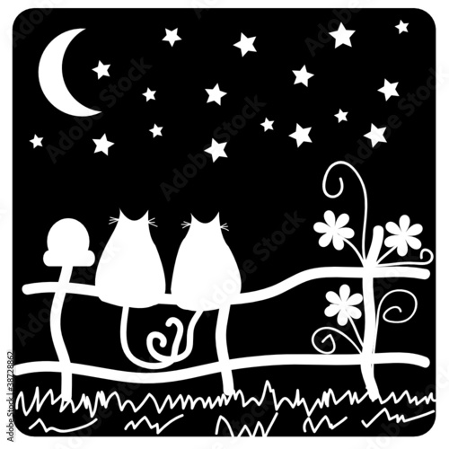 In love cats