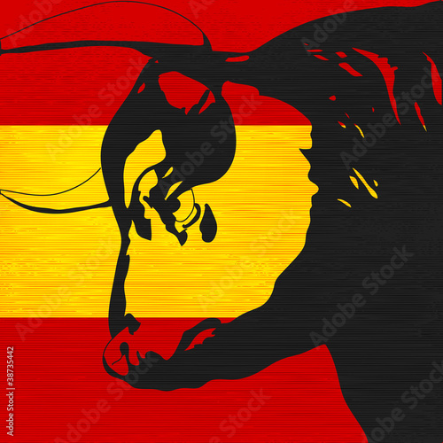 Spanish Bull