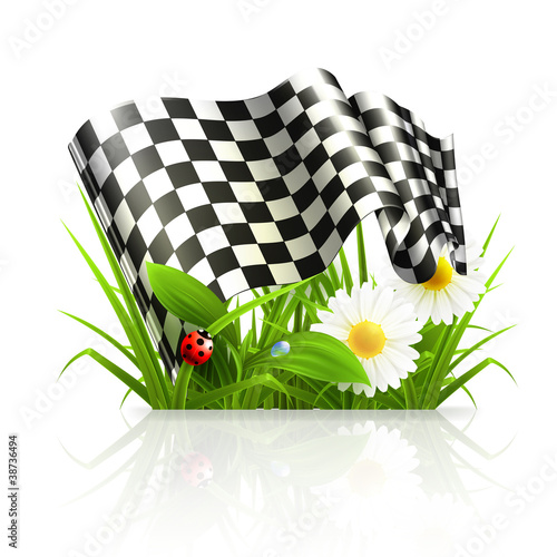 Checkered flag in grass