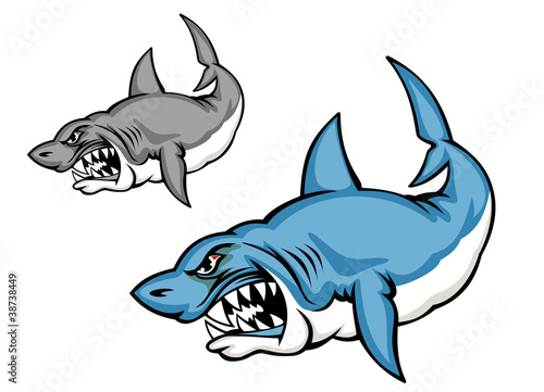 Danger shark