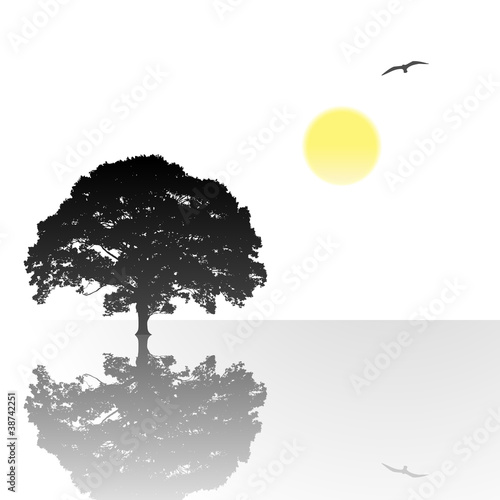 A Single Tree Standing Alone with Reflection in Water