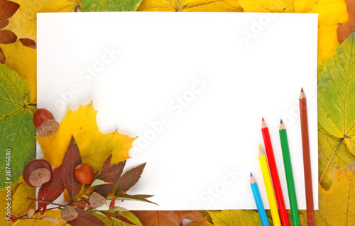 Leaves, paper and pencils
