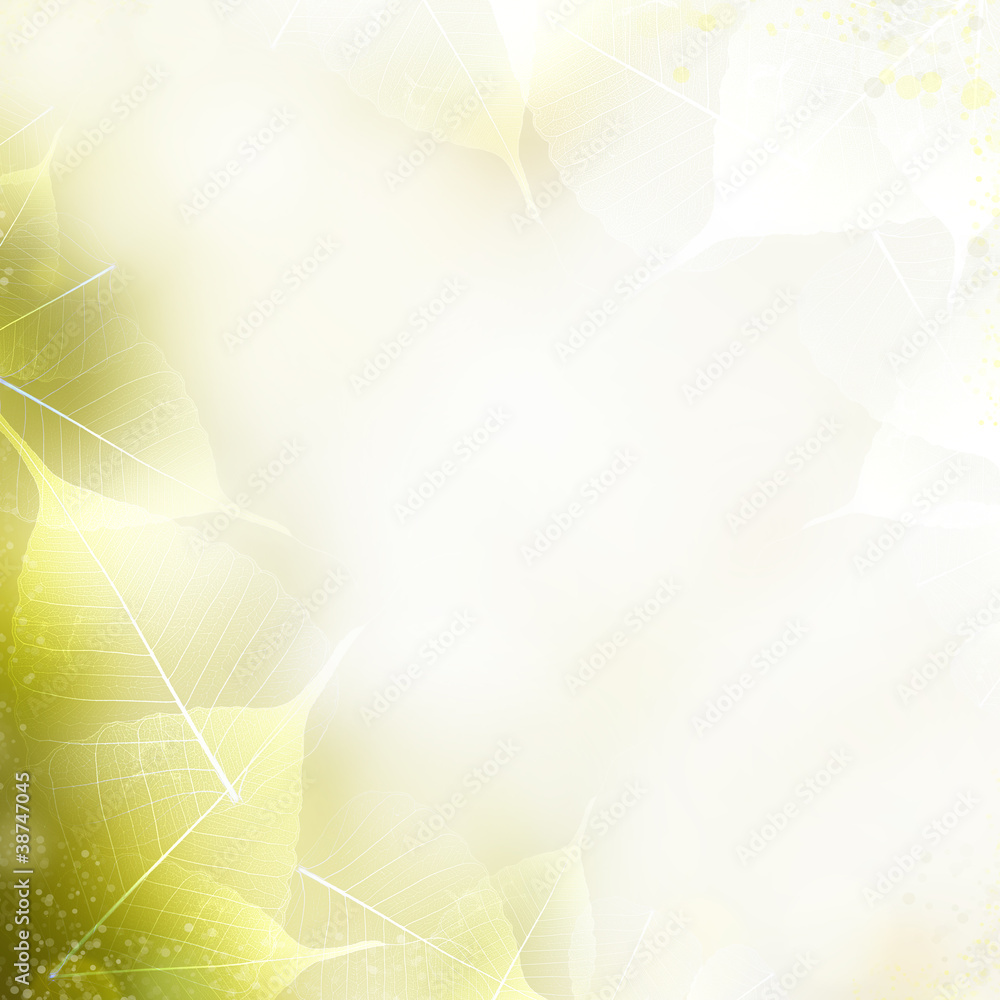 Art background - beautiful nature border with leaves Stock Photo ...