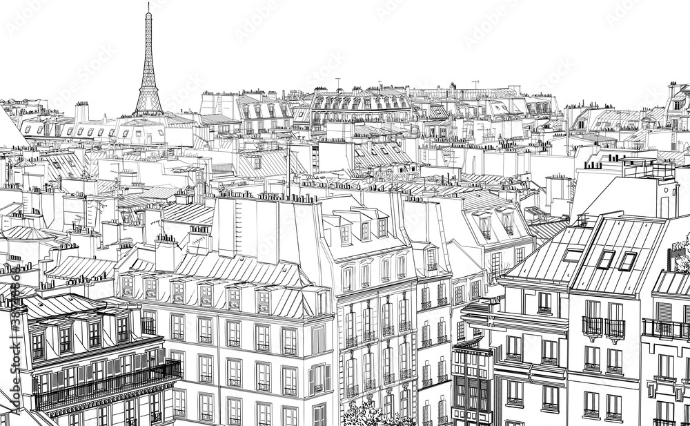 roofs in Paris - obrazy, fototapety, plakaty 