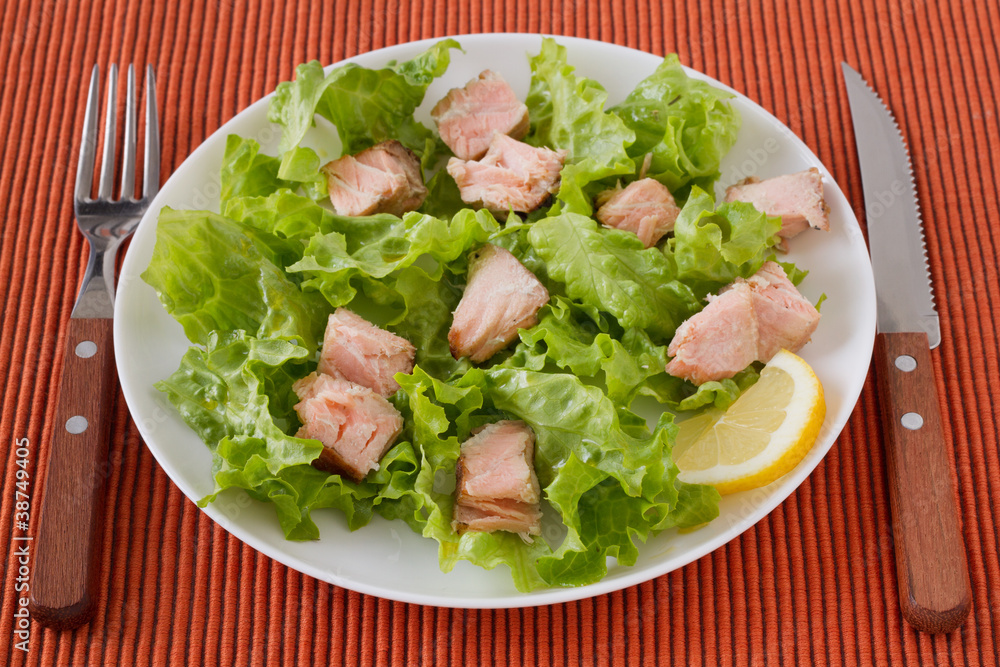 salad with salmon salad with salmon