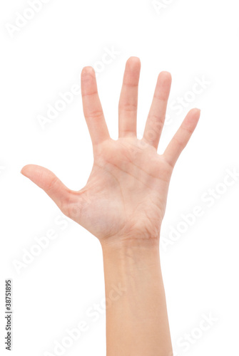 Open woman hand or number five