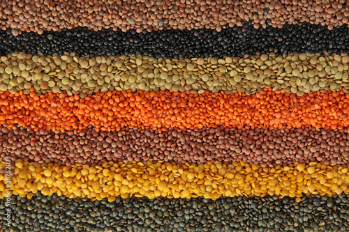 Different lentils photo