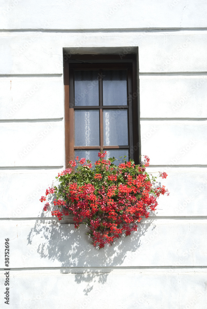 The ancient window w flowers