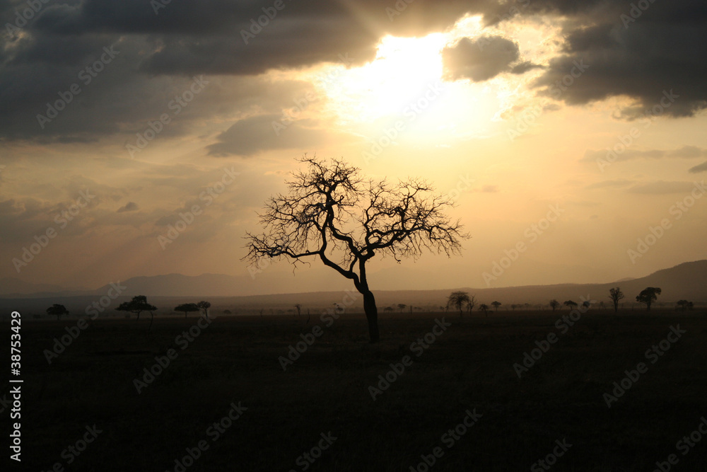 Sunset in Tanzania Sunset in Tanzania
