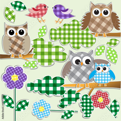 Owls and birds in forest