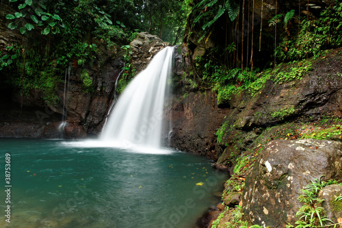 Fontaine tropicale © Dussauj