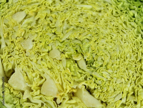 Cabbage background photo