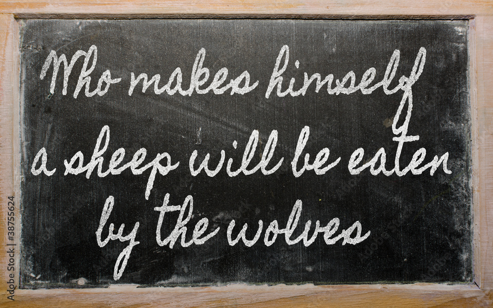 Fototapeta premium expression - Who makes himself a sheep will be eaten by the wol