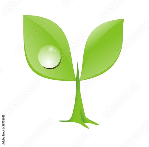 yong plant vector