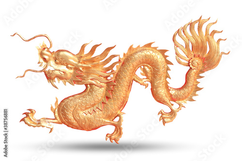 gold dragon on white background
