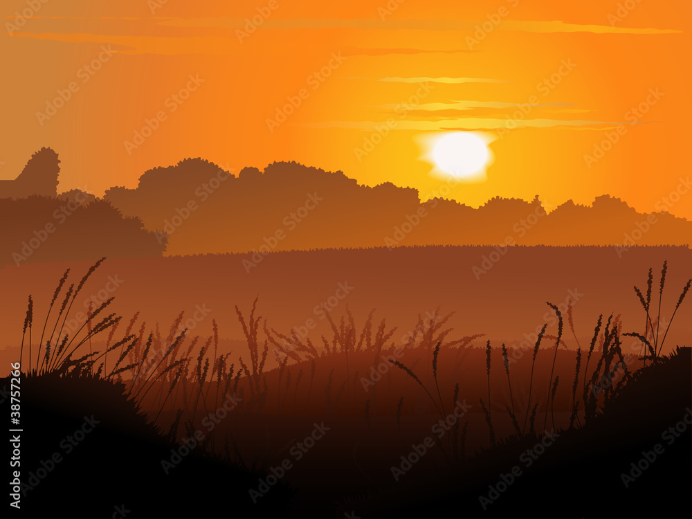 Obraz premium Vector backround of field in sunset.