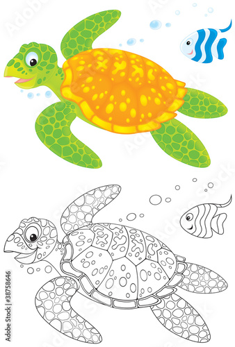 Marine turtle and fish
