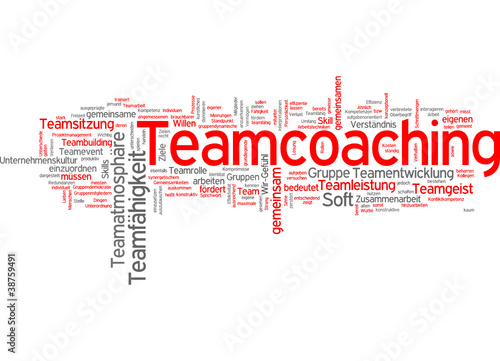 Teamcoaching (Team, Coaching)