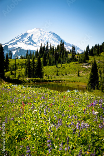 Mountain View with Wildflowers and Lake