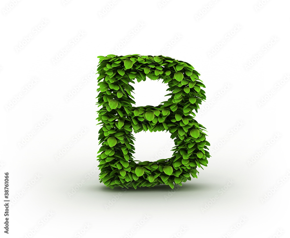 Letter B, alphabet of green leaves isolated on white background Letter B, alphabet of green leaves isolated on white background