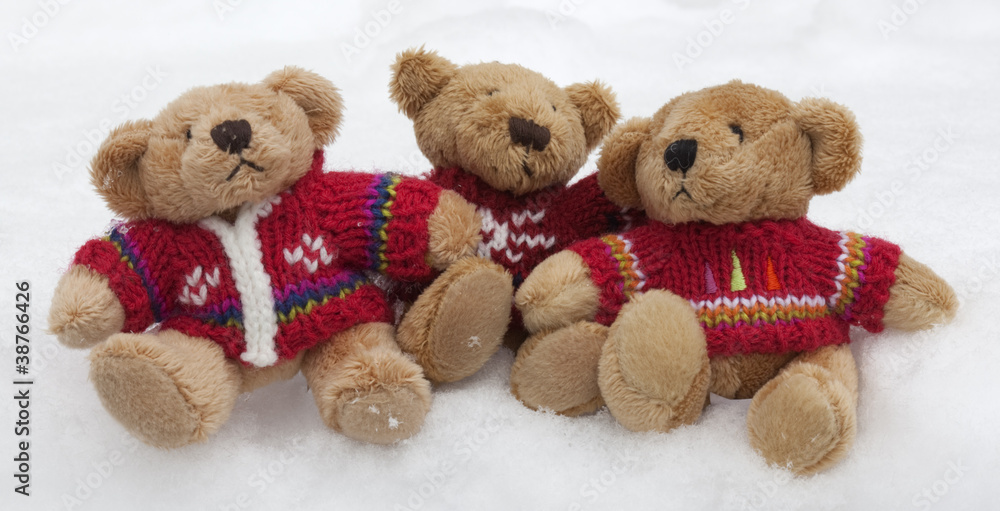 Teddy Bears in the Snow Teddy Bears in the Snow