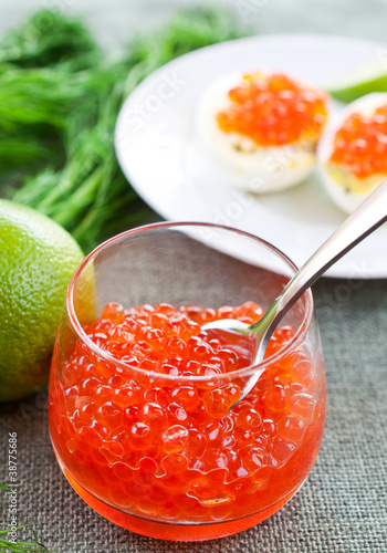 Caviar in glasses on dill and lime background close up