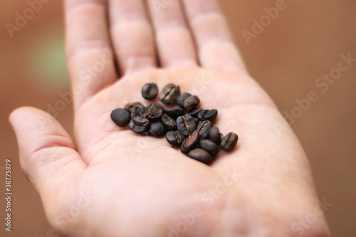 Coffee, grains