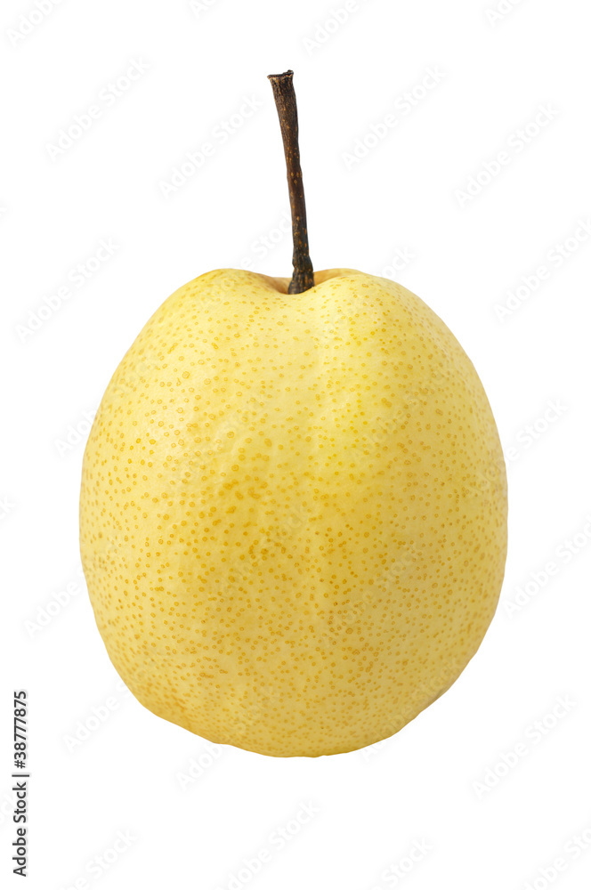 Sweet pear isolated Sweet pear isolated