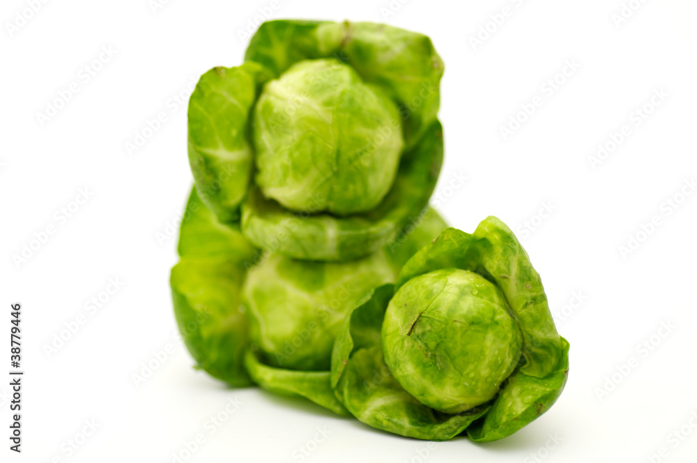 Arrangement of brussels sprouts Arrangement of brussels sprouts