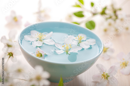 spring flowers for spa and aromatherapy