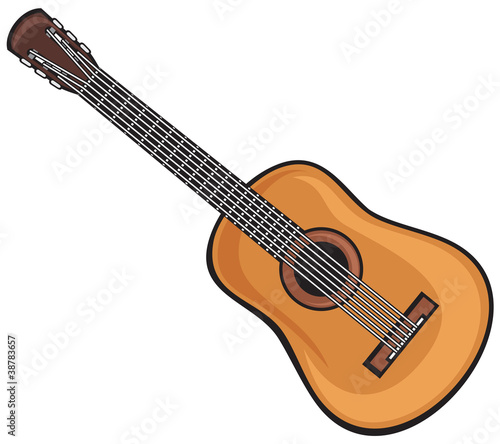 acoustic guitar