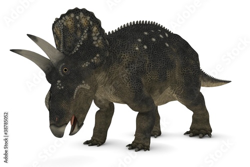 Diceratops / Nedoceratops © Dan Marsh