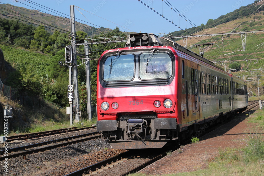 Naklejka premium arrivée d'un train en gare.