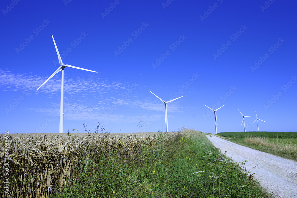 Energie renouvelable : Champ d'éoliennes avec chemin(Aisne)