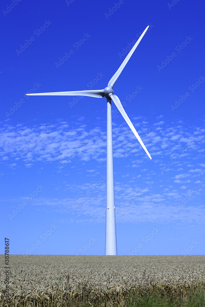 Energie renouvelable : Eoliennes
