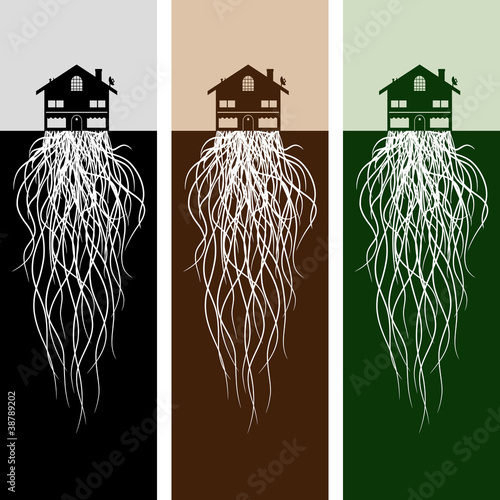 House With Roots photo