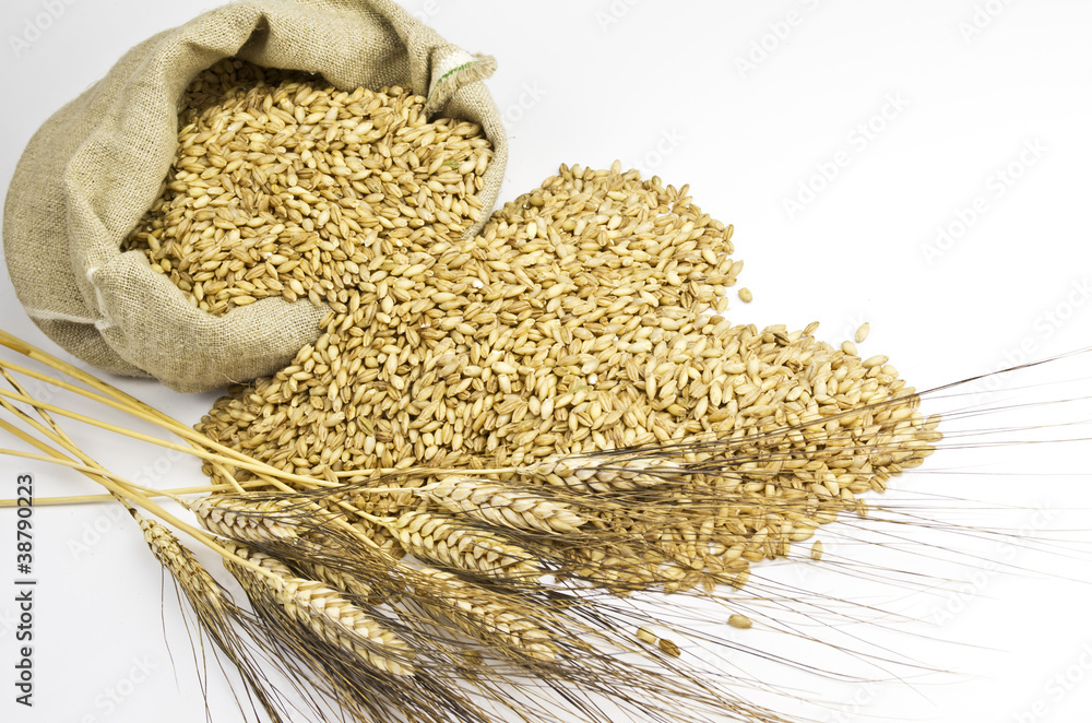 Gerstenkörner Stock-Foto | Adobe Stock