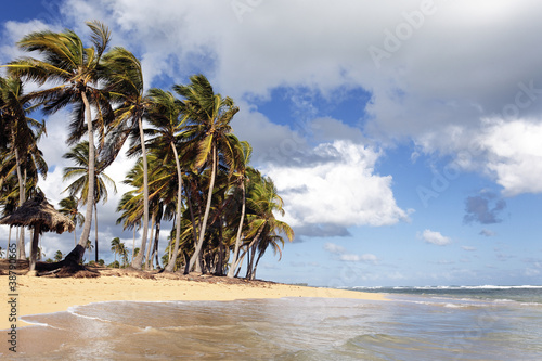 caribbean beach with clouds