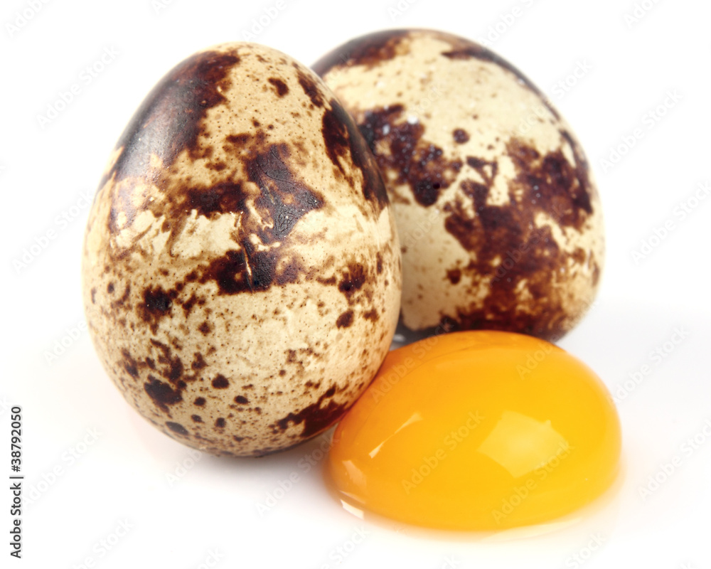 Obraz premium Quail eggs