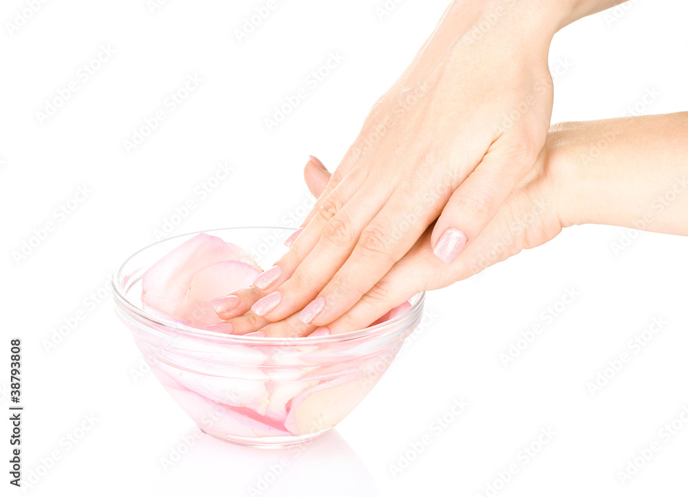 Naklejka premium Beautiful female hands and rose petals