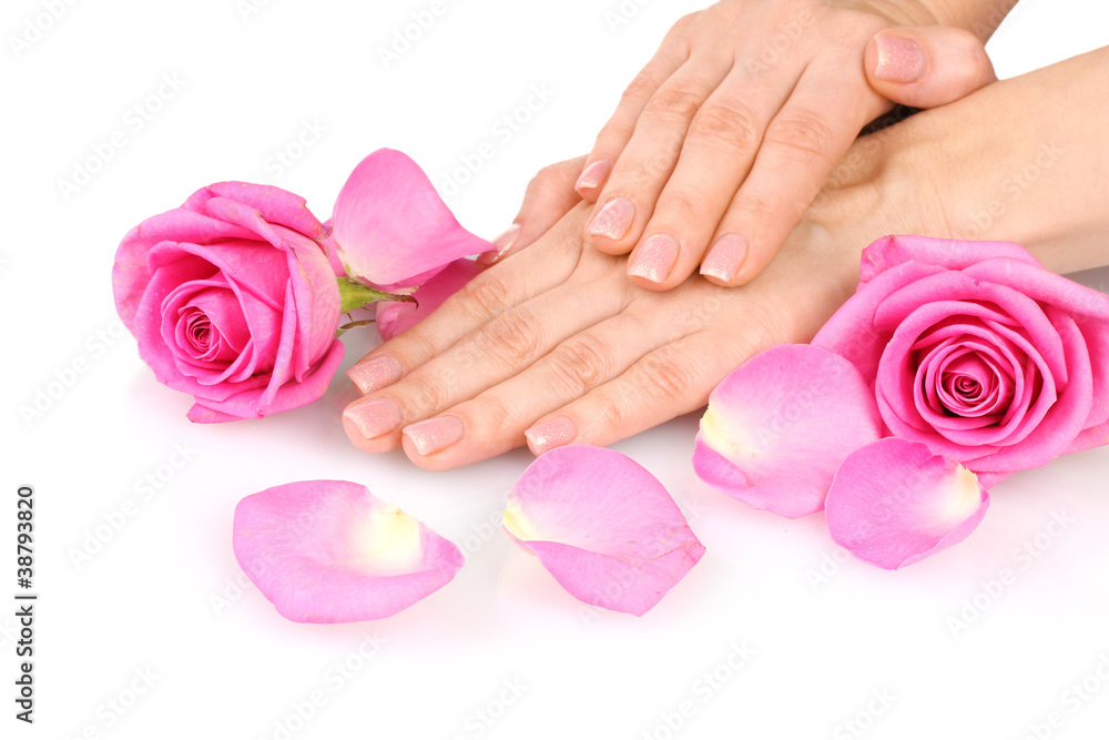 Rose and hands isolated on white Rose and hands isolated on white