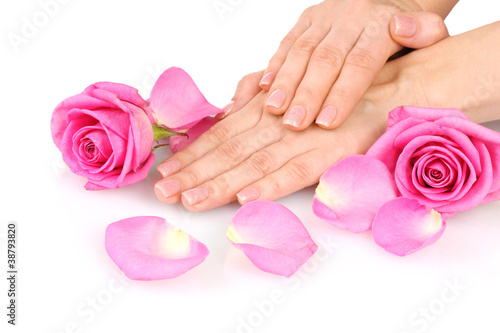 Rose and hands isolated on white