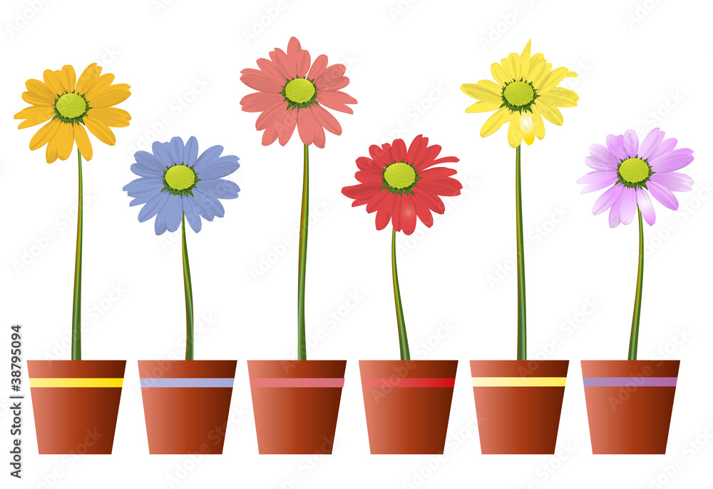 Bunte Blumen mit Topf Stock-Vektorgrafik | Adobe Stock