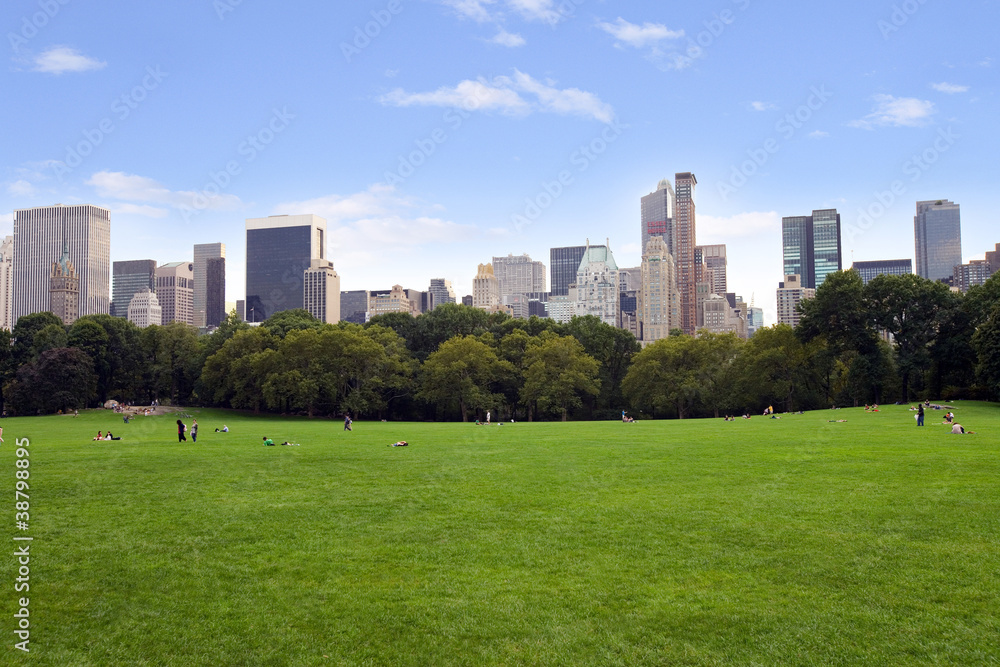 panoramic view of  Central Park with Manhattan skyline
