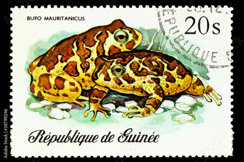 GUINEA - CIRCA 1977