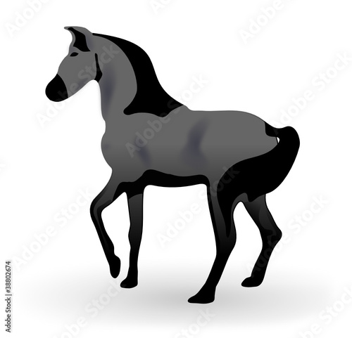 cheval pursan arabe