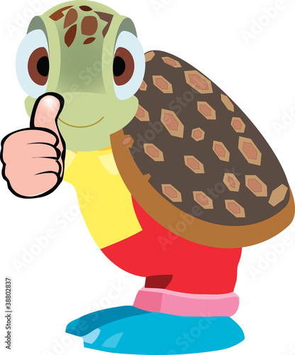 tartaruga tutto bene