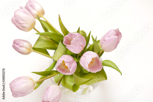Fototapeta Naklejka Na Ścianę i Meble -  pink tulips in the vase