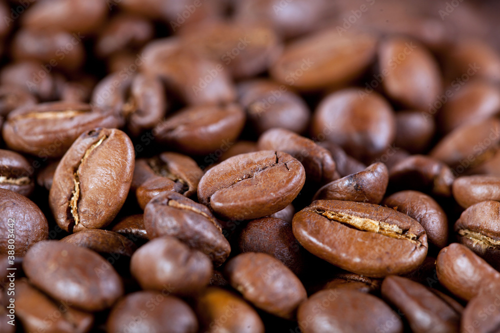background from coffee beans background from coffee beans