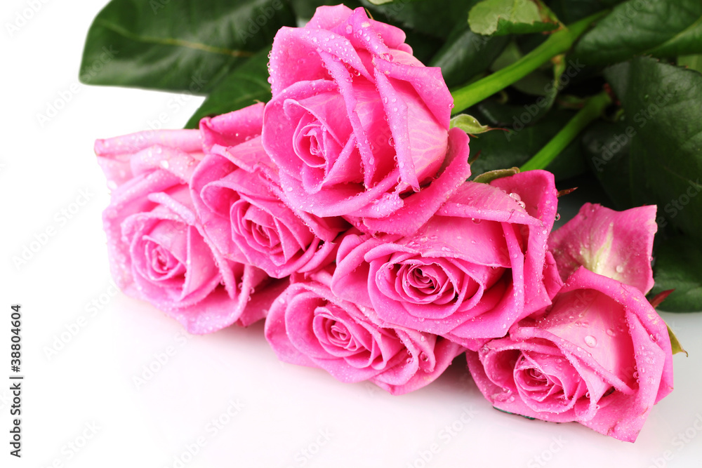Many pink roses isolated on white Many pink roses isolated on white